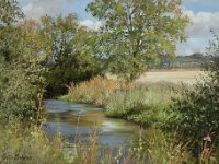 Landscapes - Sold (35)